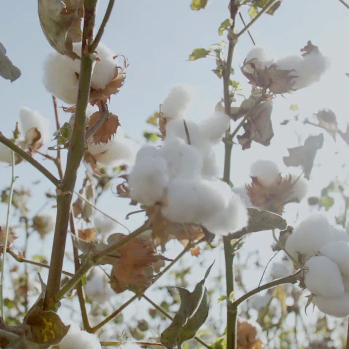 The Fabric Behind OMUA